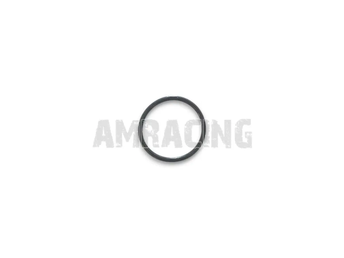 JUNTA TÓRICA PARA  PISTÓN FR.125/250 EPDM ESPECIALES DOT 3 - 4  (SUSTITUYE A LA 12240)